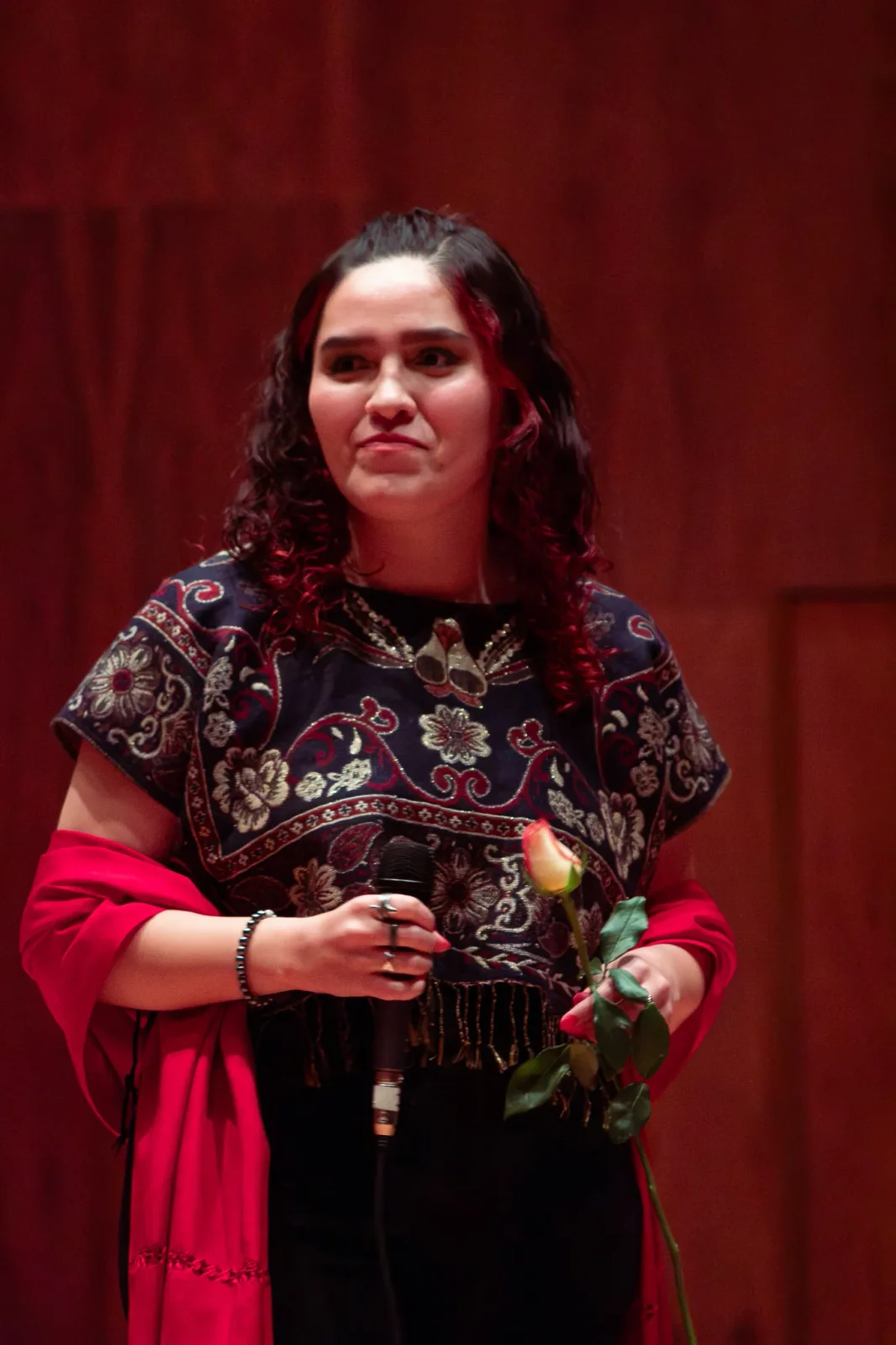 concert photography by JRMGraphy